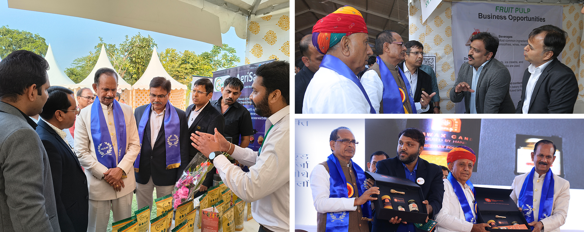 nabi banner 26022026_5